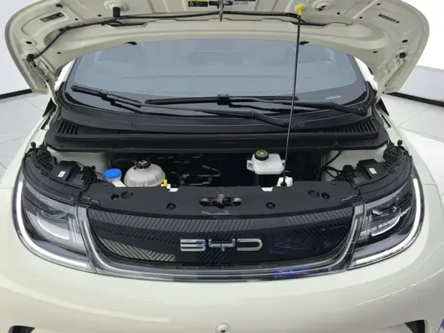 BYD Dolphin — Фото автомобиля 10