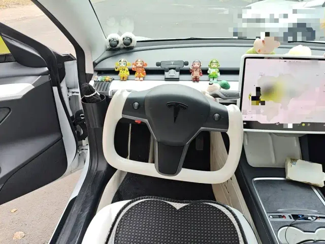 Tesla Model 3 — Фото автомобиля 11