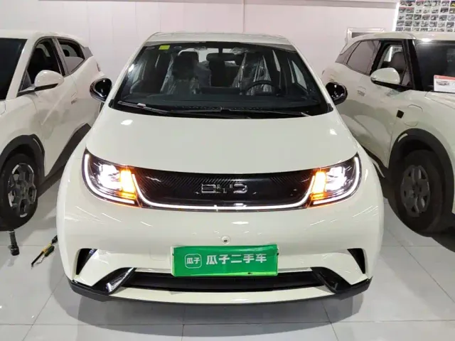 BYD Dolphin — Фото автомобиля 2