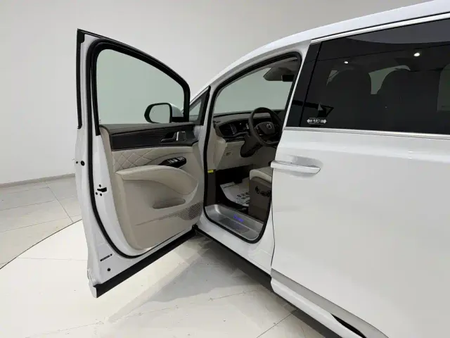 Denza Denza D9 2022 DM-i 970 All-Wheel Drive Honor Edition — Фото автомобиля 21