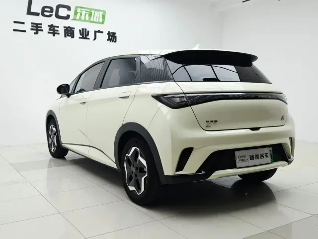 BYD Dolphin — Фото автомобиля 4