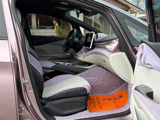 BYD Dolphin 2021 401km Knight Edition — Фото автомобиля 3