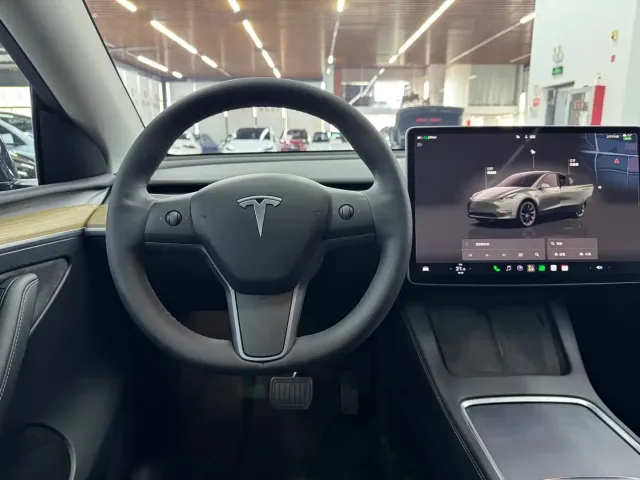 Tesla Model Y — Фото автомобиля 14