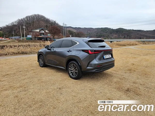 Lexus NX — Фото автомобиля 5