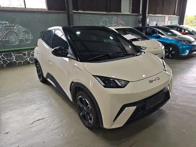 BYD Seagull — Фото автомобиля 3