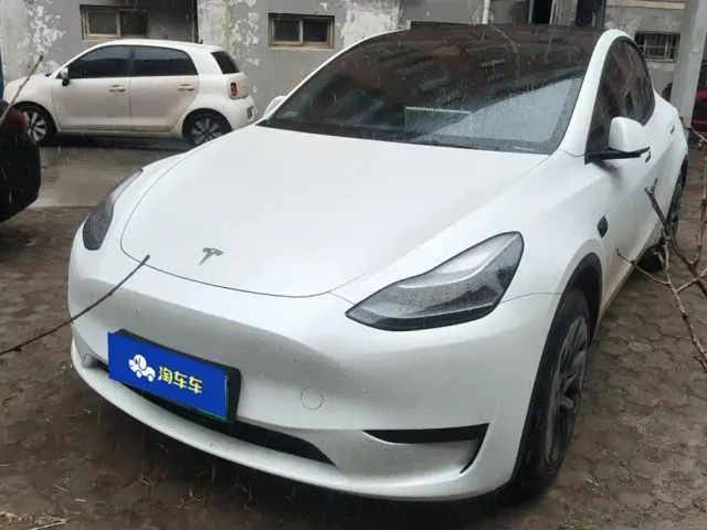 Tesla Model Y — Фото автомобиля 2