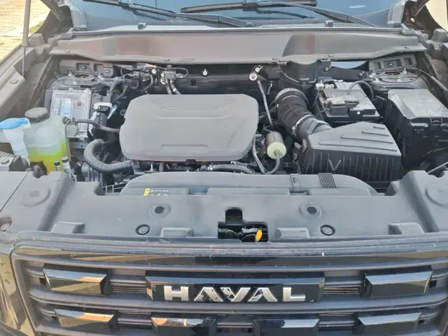 Haval Big Dog — Фото автомобиля 10