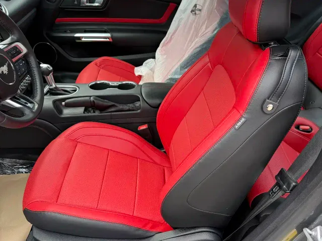 Ford Mustang — Фото автомобиля 7