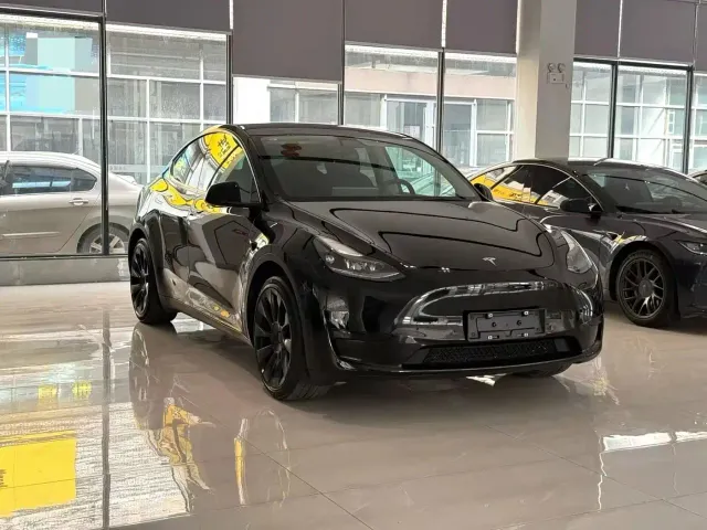 Tesla Model Y — Фото автомобиля 3