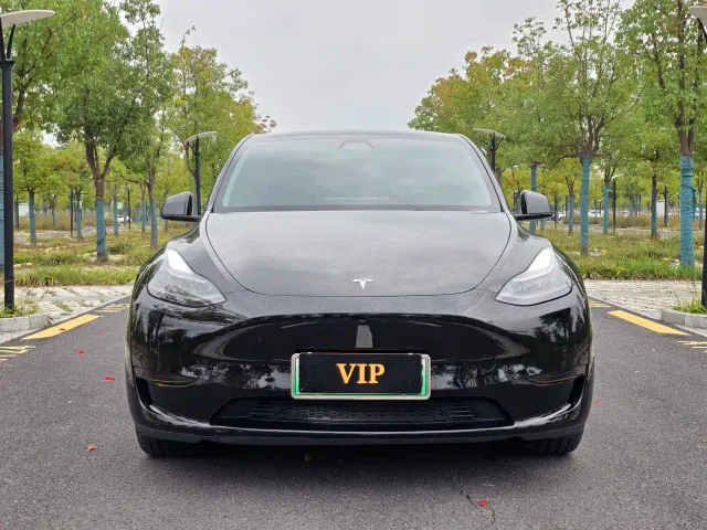 Tesla Model Y — Фото автомобиля 2