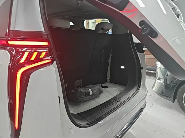 Maxus Dajia 9 — Фото автомобиля 17