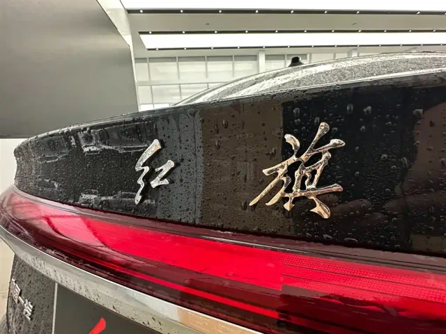 Hongqi H5 — Фото автомобиля 19