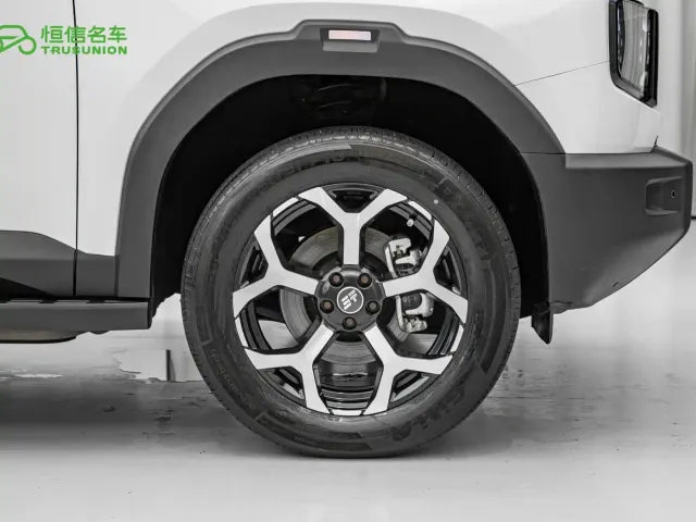 Jetour Shanhai T1 — Фото автомобиля 11