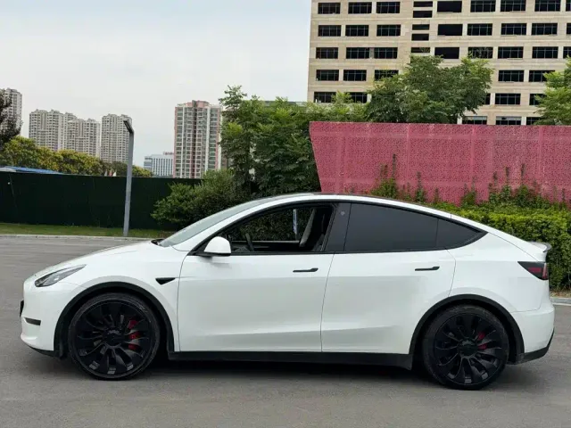 Tesla Model Y — Фото автомобиля 3