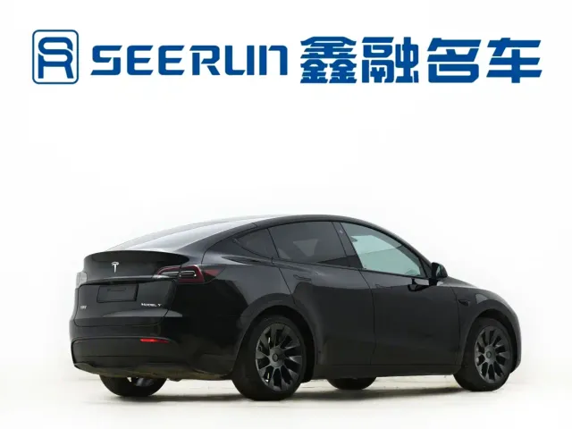 Tesla Model Y — Фото автомобиля 11