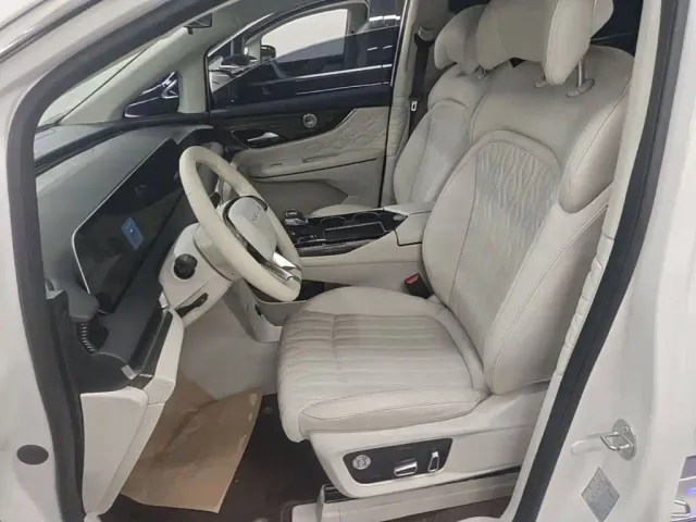 Forthing Xinghai V9 — Фото автомобиля 14