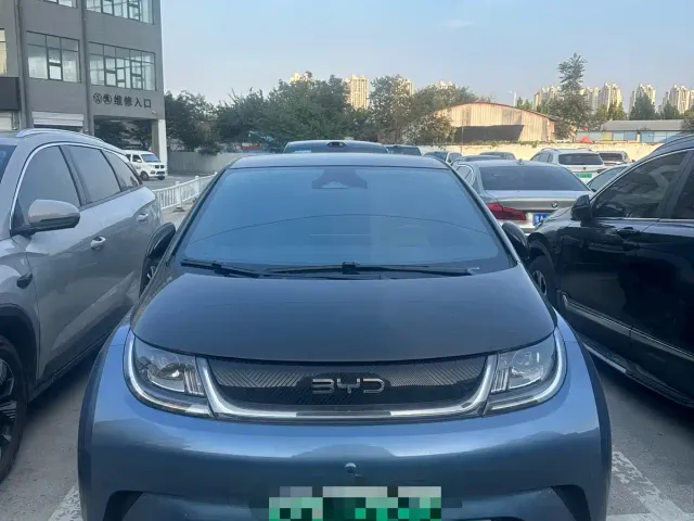 BYD Dolphin — Фото автомобиля 2
