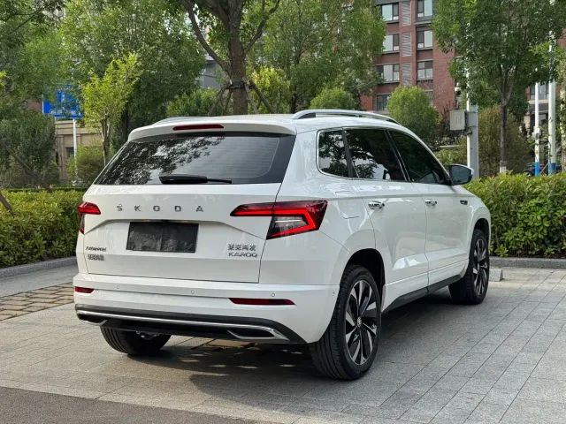 Skoda Karoq — Фото автомобиля 10