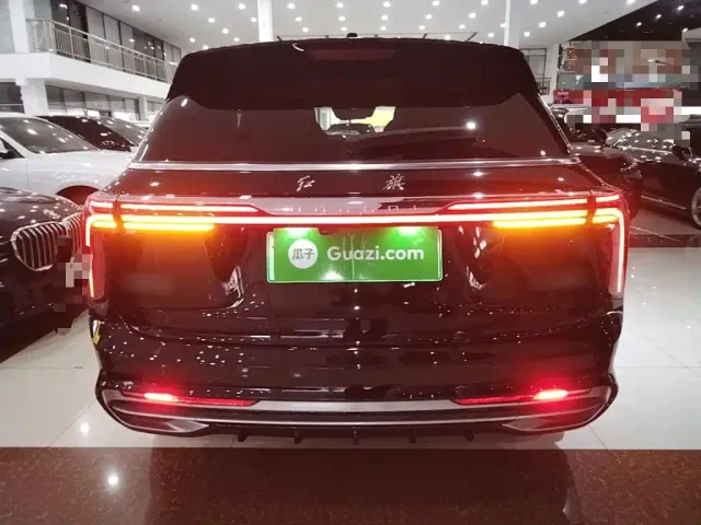 Hongqi E-HS9 — Фото автомобиля 5