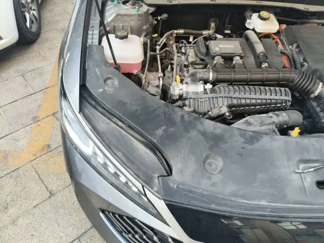 BYD Qin PLUS — Фото автомобиля 21