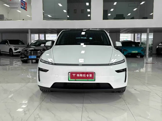 Tesla Model Y — Фото автомобиля 2