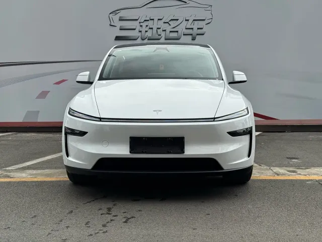 Tesla Model Y — Фото автомобиля 2