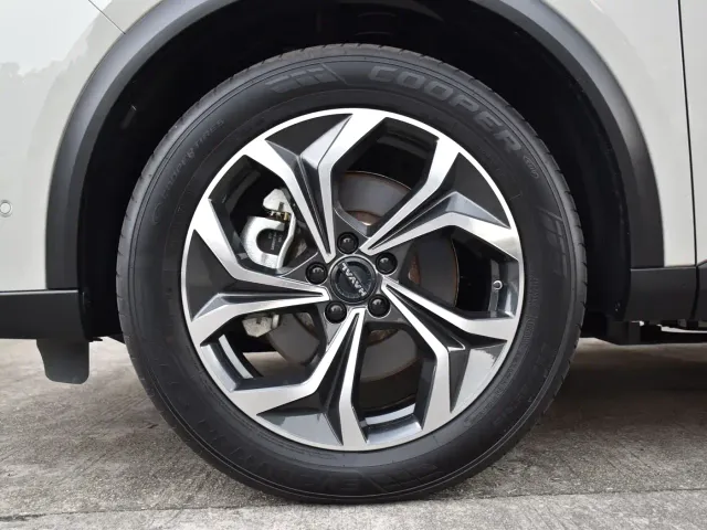 Haval Xiaolong MAX — Фото автомобиля 22