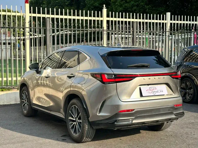 Lexus NX — Фото автомобиля 14