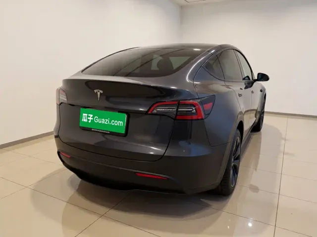 Tesla Model Y — Фото автомобиля 4