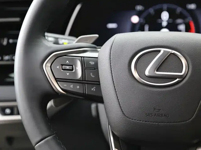 Lexus RX — Фото автомобиля 16