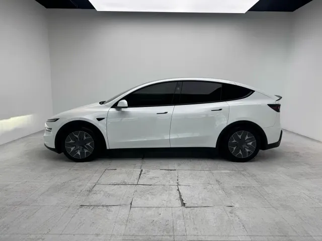 Tesla Model Y L — Фото автомобиля 8