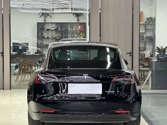 Tesla Model 3 — Фото автомобиля 8