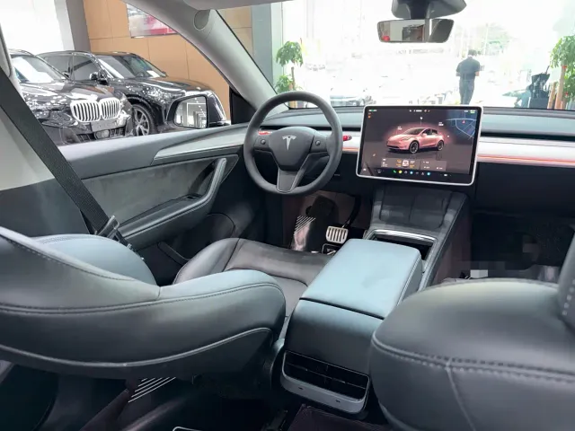 Tesla Model Y — Фото автомобиля 6