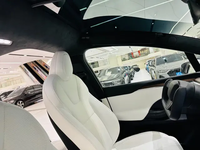 Tesla Model X — Фото автомобиля 6