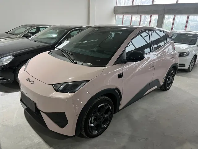 Фотография автомобиля — BYD Seagull