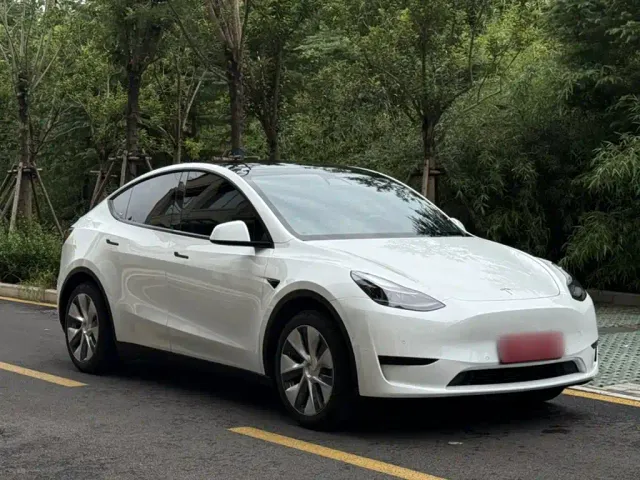 Tesla Model Y — Фото автомобиля 15