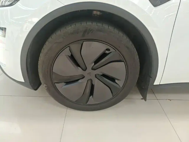 Tesla Model Y — Фото автомобиля 22