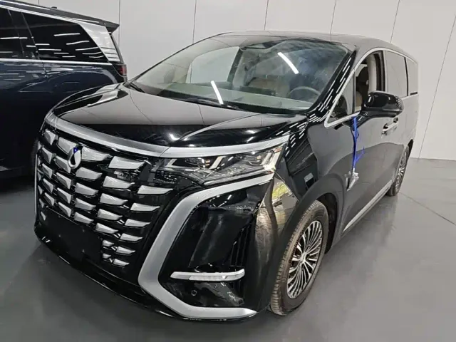 Фотография автомобиля — Denza D9