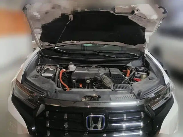 Honda Elysion — Фото автомобиля 3