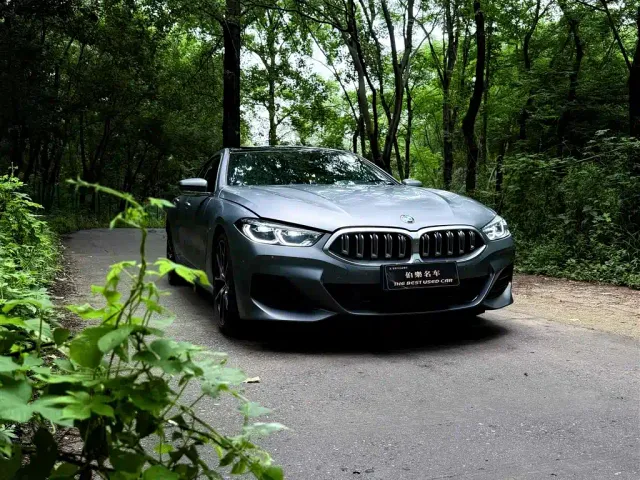 BMW 8 Series — Фото автомобиля 5