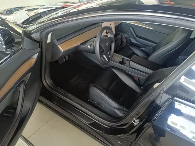Tesla Model 3 — Фото автомобиля 15