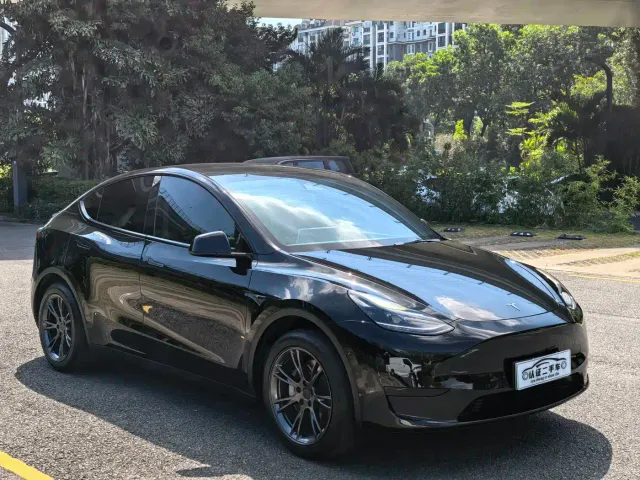 Tesla Model Y — Фото автомобиля 3