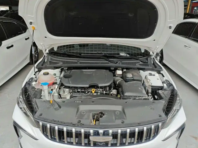 Geely Binrui — Фото автомобиля 15