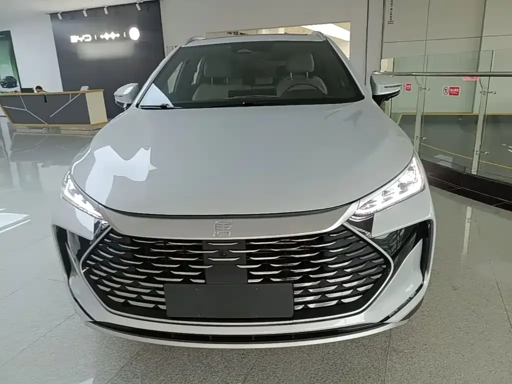 BYD Tang New Energy 2024 DM-p Glory Edition 215KM AWD Premium — Фото автомобиля 2