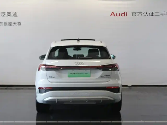 Audi Q4 e-tron — Фото автомобиля 6