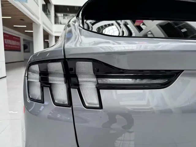 Ford Mustang Mach-E — Фото автомобиля 22