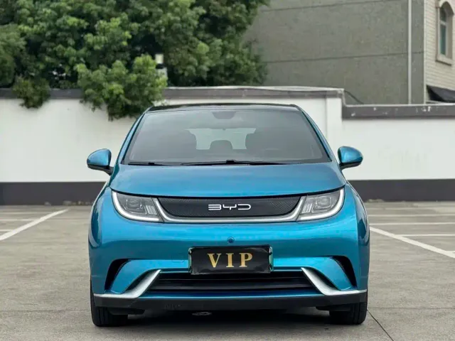 BYD Dolphin — Фото автомобиля 2