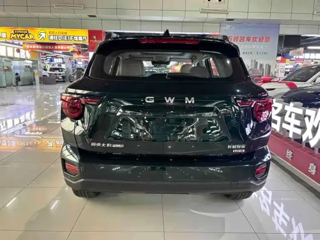 Haval Big Dog — Фото автомобиля 13