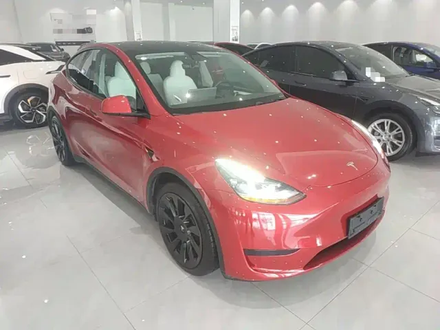 Tesla Model Y — Фото автомобиля 21