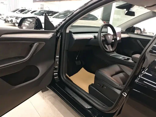 Tesla Model Y — Фото автомобиля 15
